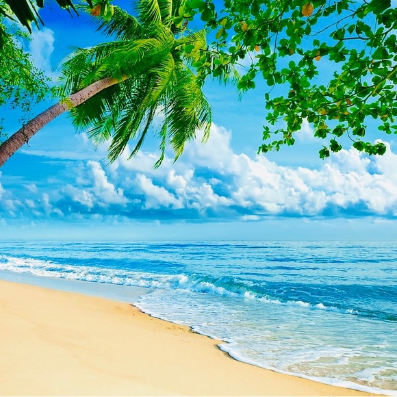 🌴🌞PoshAmbassador!🌞🌴 - Picture 2 of 7